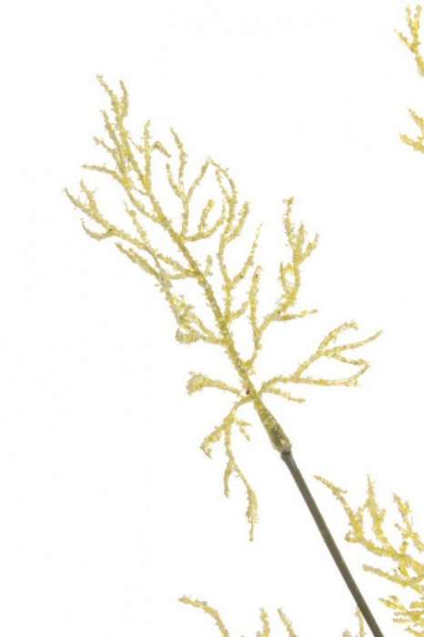 Floare decorativa, plastic, crem, 90cm [2]