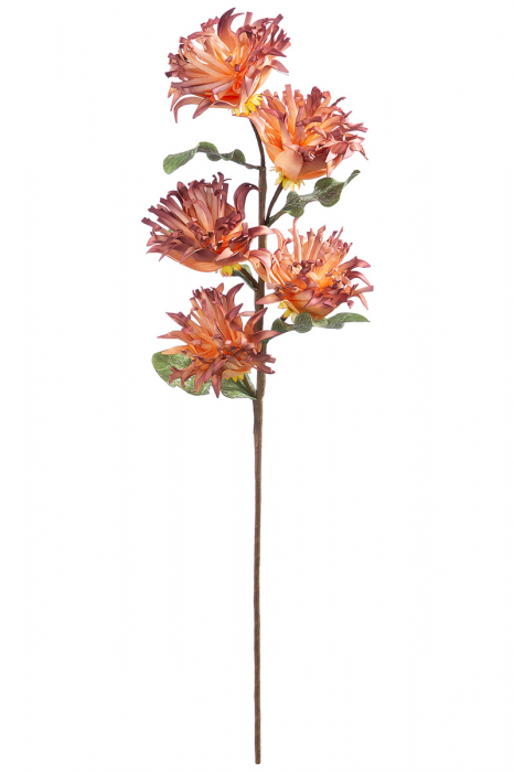 Floare decorativa spuma, Terra [2]