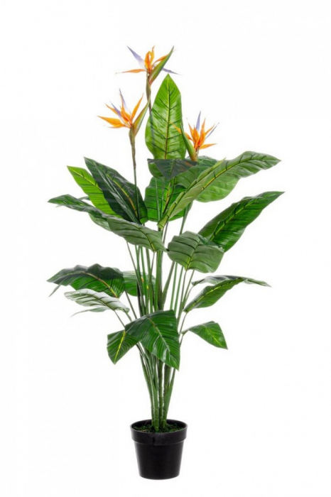 Floare in ghiveci Sterlitzia, Plastic, Verde, 70x70x150 cm