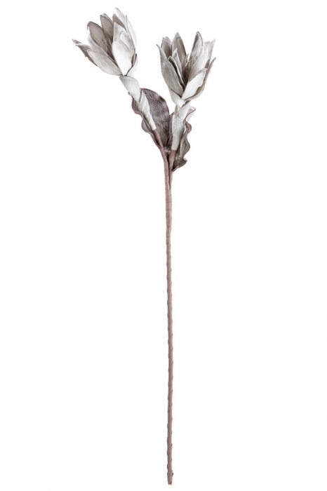 Floare spuma, SALVADOR, Plastic, 28X28X90 cm [2]