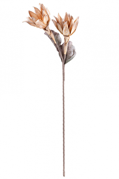 Floare spuma, SALVADOR, Plastic, 28X28X90 cm [2]