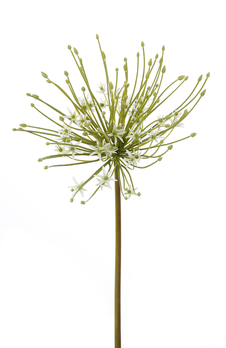 Floare artificiala TUBEROSA, fibre sintetice, 116 cm [2]