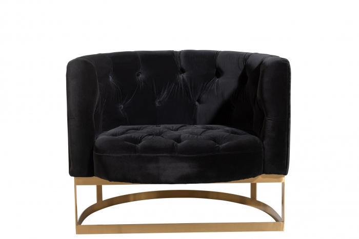 Canapea Wilson, Metal/Catifea, Auriu/Antracit, 90x76x74 cm [2]
