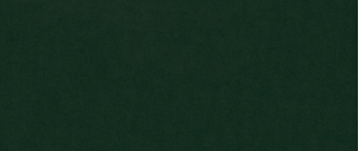 Fotoliu Clara, Verde inchis, 94x70x80 cm [3]