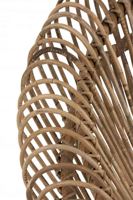 Fotoliu Vivi cu perna, Ratan/Bambus, Natural, 104x82.5x96.5 cm [5]