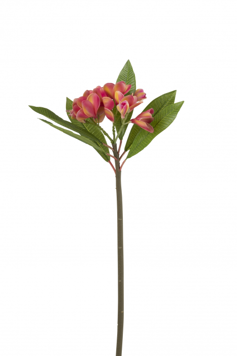 Poza Floare artificiala Frangipani, Plastic, Fuchsia, 19x19x73 cm