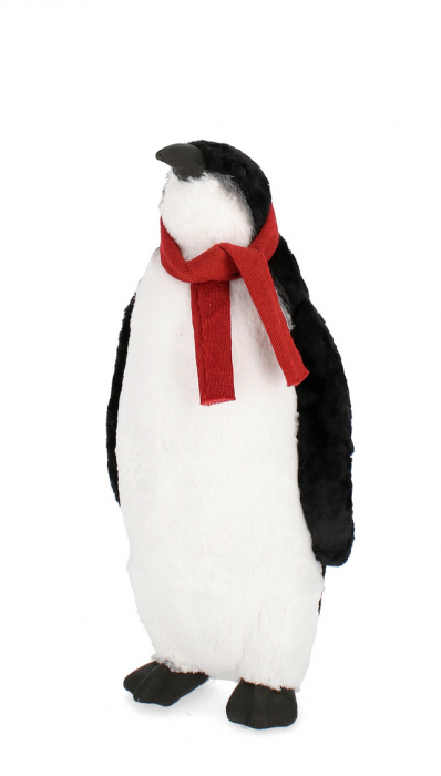 Frankie, Pinguin 31X59H