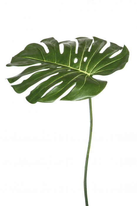 Frunza artificiala filodendron, Fibre sintetice, Verde, 36×35 cm FINK