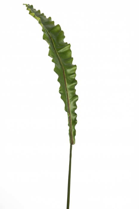 Frunza artificiala Leaf, Fibre artificiale, Verde, 117 cm