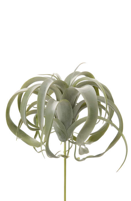 Frunze, Tillandsia, Sintetic, verde, PU 6, H. 26 cm [1]