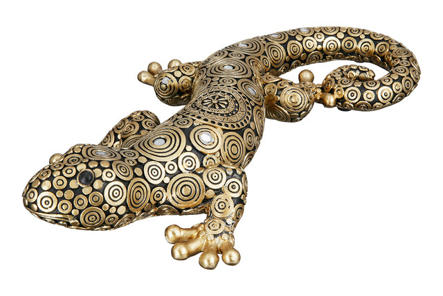 Gecko rasina Tarentola [2]
