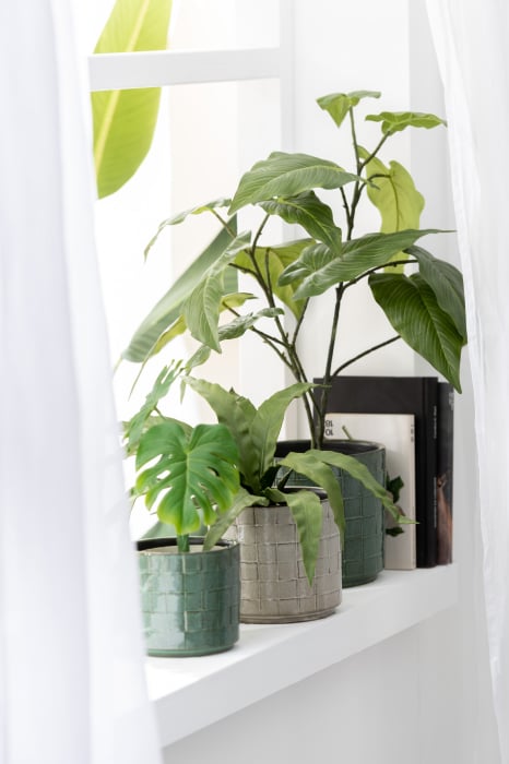 Ghiveci, Ceramica, Verde, 14x14x13 [1]