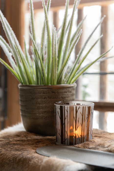 Ghiveci, Ciment, Verde, 14.5x14.5x12.5 [1]