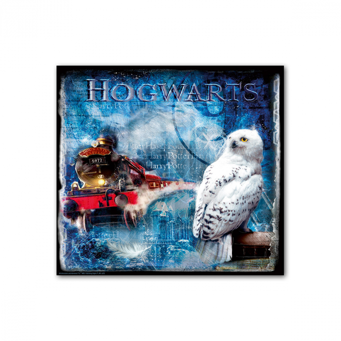 Harry Potter, Tablou, Pânză, multicolor, PU 1, L. 4 cm, L. 70 cm, H 70 cm [2]