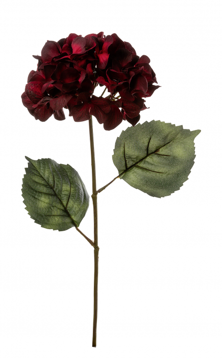 HORTENSIE, doua frunze, rosu-inchis, h.48 cm