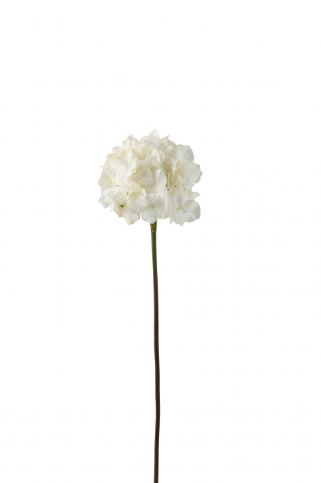 Hydrangea artificiala, Plastic, Alb, 16x16x63 cm