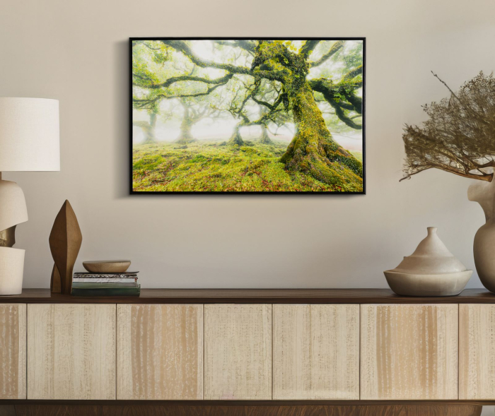 Imprimeu pe panza cu rama, padure 90x4x60 cm [6]