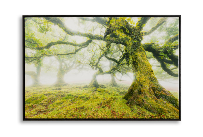 Imprimeu pe panza cu rama, padure 90x4x60 cm [1]