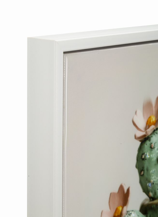 Imprimeu pe panza cu rama, vaza cu cactus -c- 40x2,8x40 cm [2]