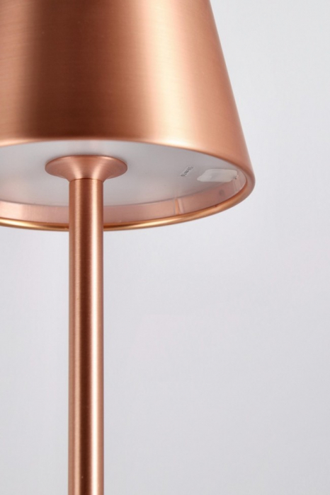 Lampa de masa Etna, Led, Bronz, H38 [3]