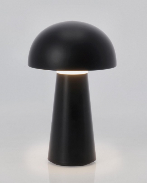 Lampa de masa Idrial, Led, Negru H22,5 [3]