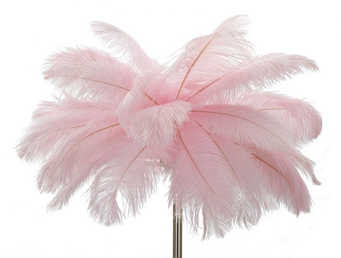 Lampa de podea, Palm, Pink, Cm Ø 55X160 [2]