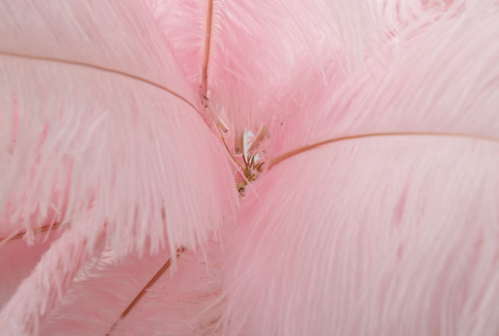 Lampa de podea, Palm, Pink, Cm Ø 55X160 [3]