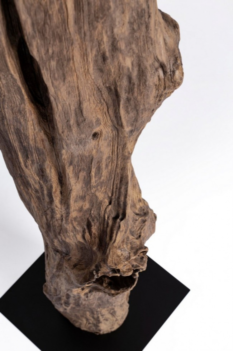 Lampadar Kleta, Lemn de tec, Negru, 55x180 cm [3]