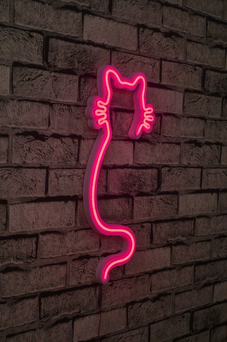  LED decorativ din plastic [1]
