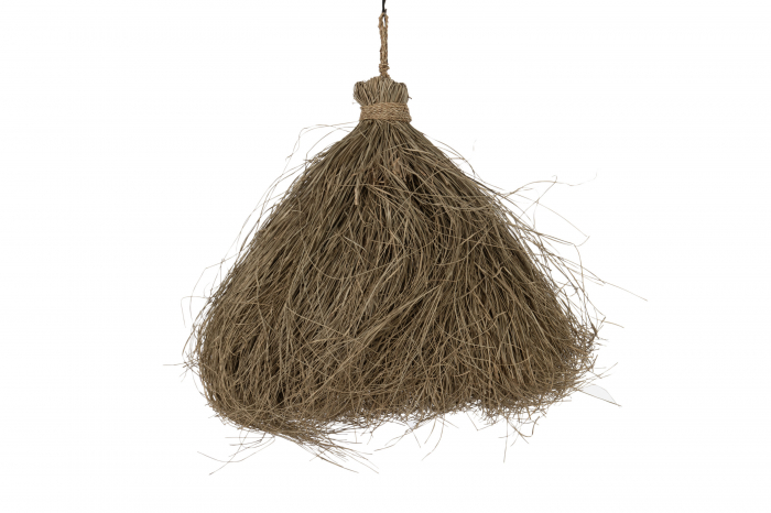 Lustra Papua Natur L