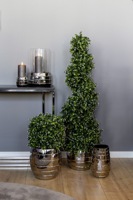 MÜNZBLATT, Planta in ghiveci, verde, h.120 cm [6]