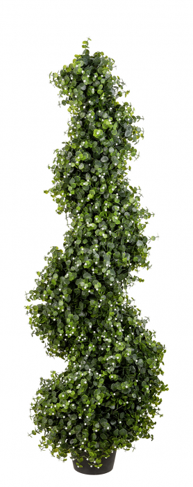 MÜNZBLATT, Planta in ghiveci, verde, h.120 cm [5]