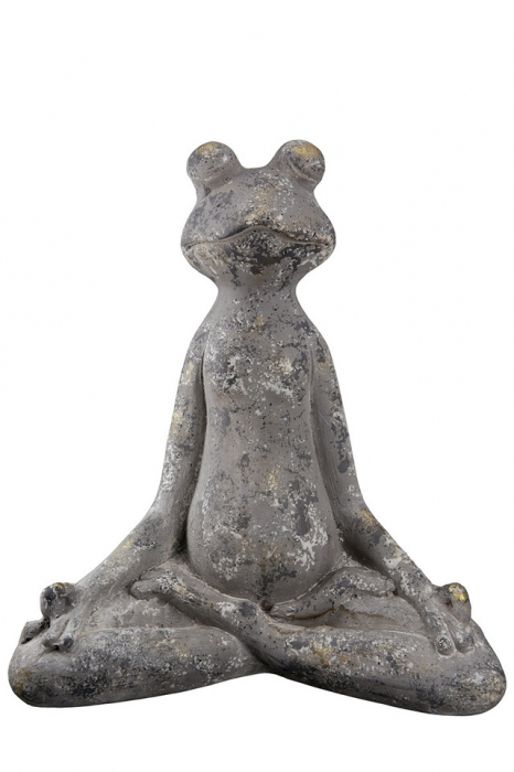 Magnesia Frog Yoga [1]