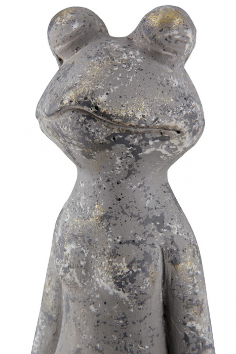 Magnesia Frog Yoga [5]