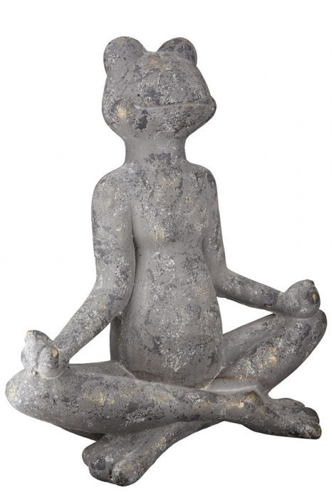 Magnesia Frog Yoga [1]