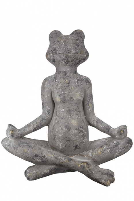 Magnesia Frog Yoga [3]