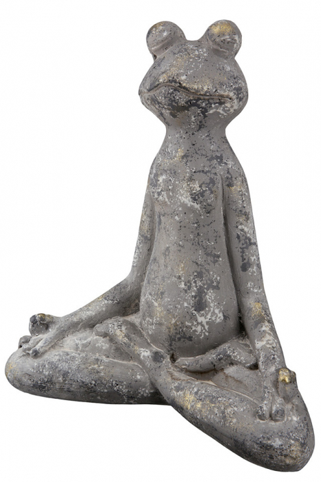 Magnesia Frog Yoga [4]