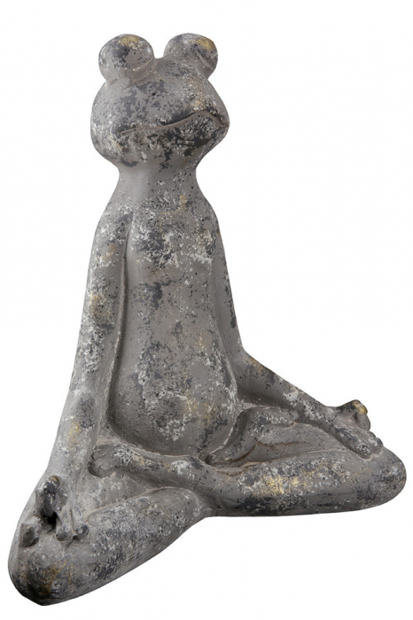 Magnesia Frog Yoga [3]