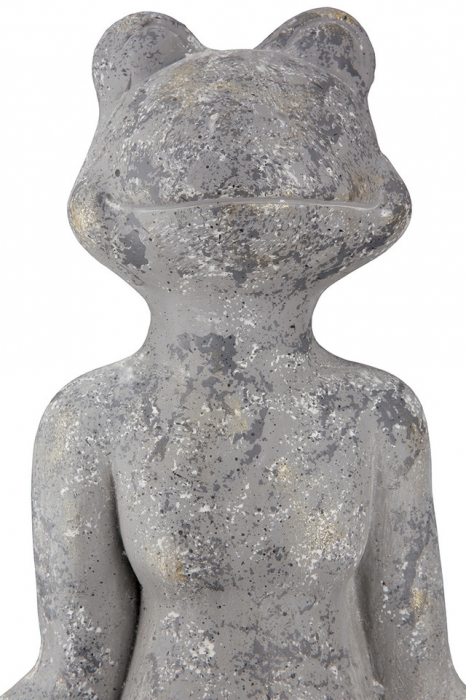 Magnesia Frog Yoga [5]