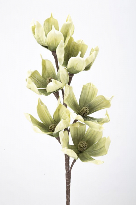 Magnolia spray x6 cm verde 25x20x95