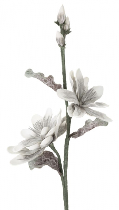 Magnolia x2 gri cm ø 25x98  [2]