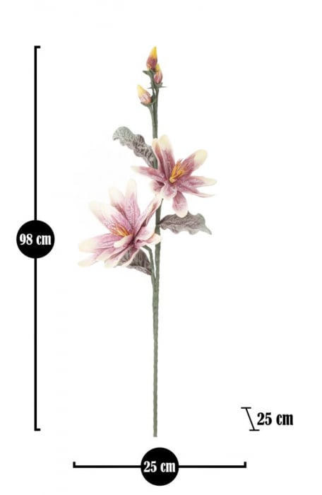 Magnolia x2 violet cm ø 25x98 [5]