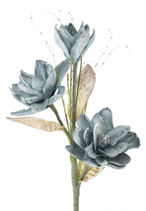 Magnolia x3 albastru cm ø 30x90 [2]