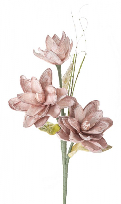 Magnolia x3 roz cm ø 30x90 [2]