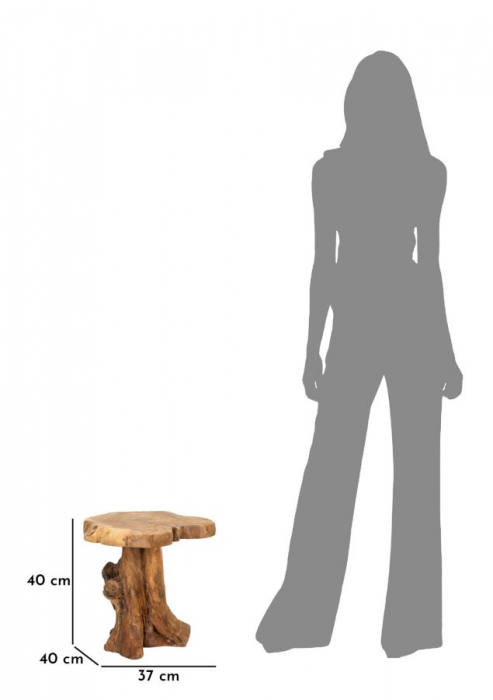Masuta de cafea, BINGTANG din tec reciclat cm37x40x40 (piesa unica) [12]
