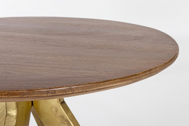 Masuta de cafea Sherman, Lemn de Mango, Auriu-Maro, 560x45 cm  [2]