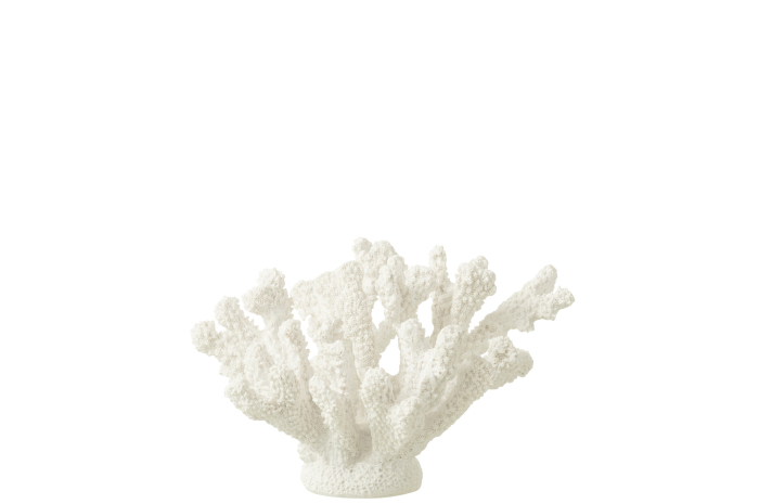 Obiect decorativ, CORAL, M [1]