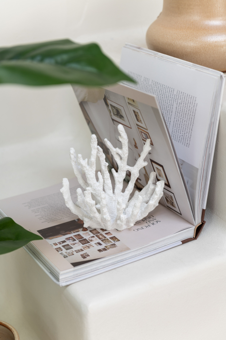 Obiect decorativ, CORAL, S [1]