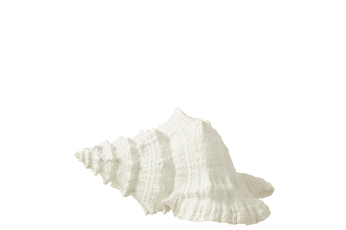 Obiect decorativ, SEASHELL [2]