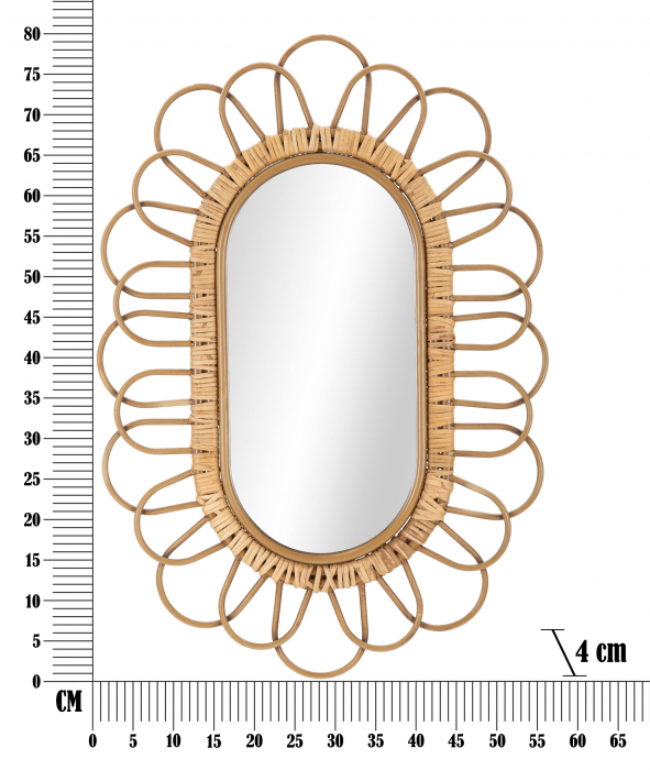Oglinda  PANAMA, Maro, Fier/Plastic, 80x56.5x3 cm [6]